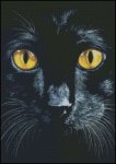 (image for) Watching You